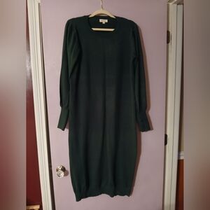 Elegant Green Sweater Dress